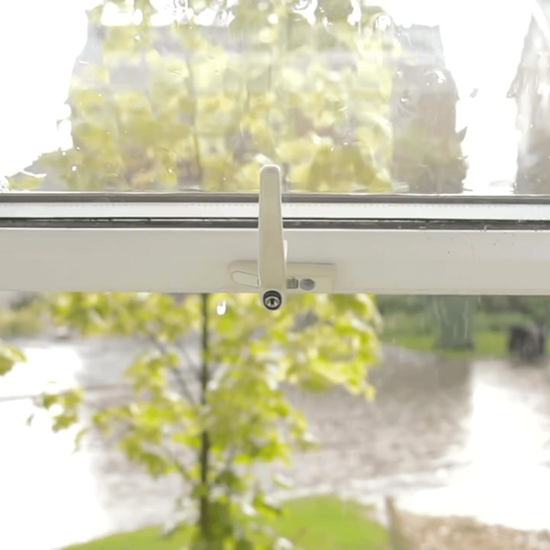 window.11 window.11