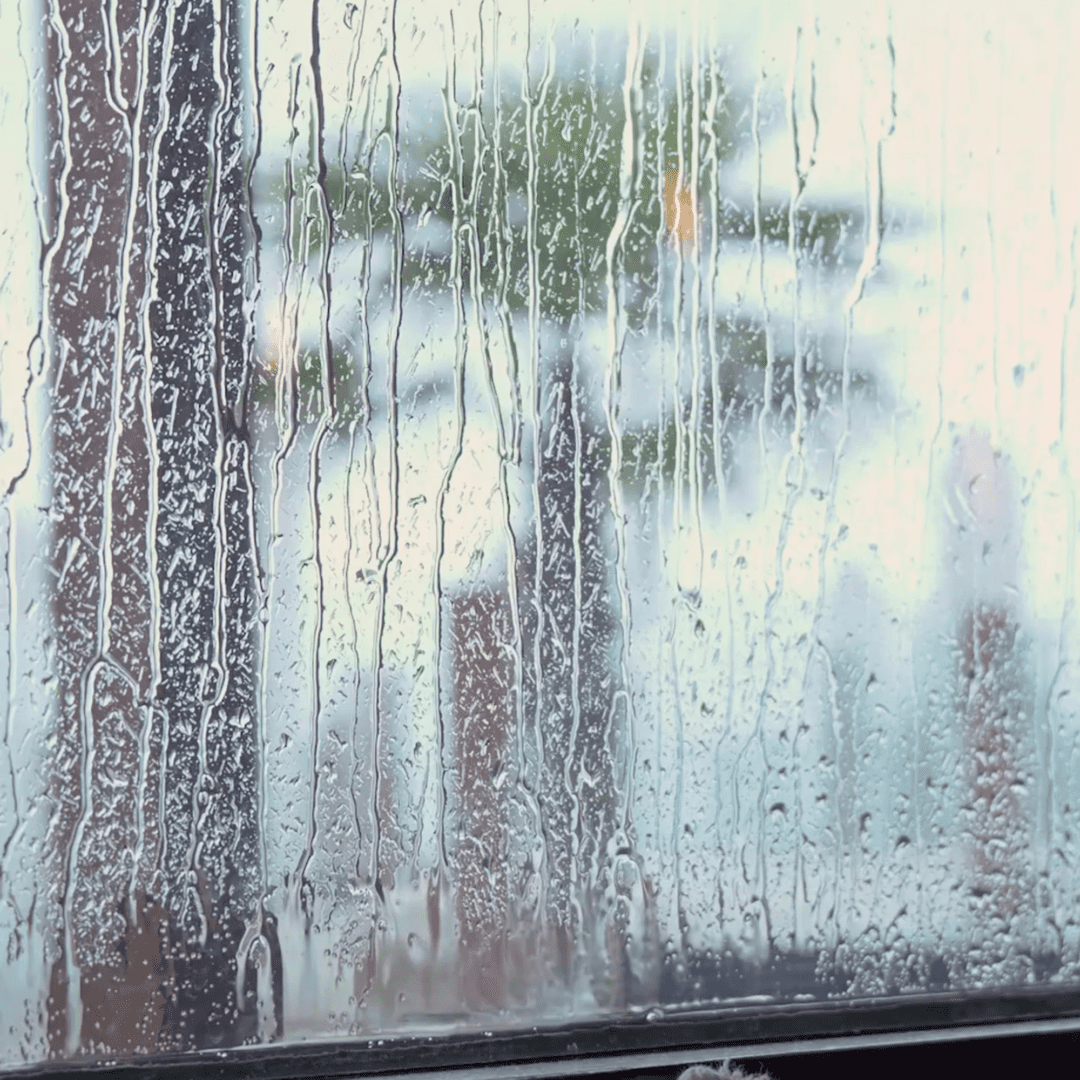 window.13 window.13